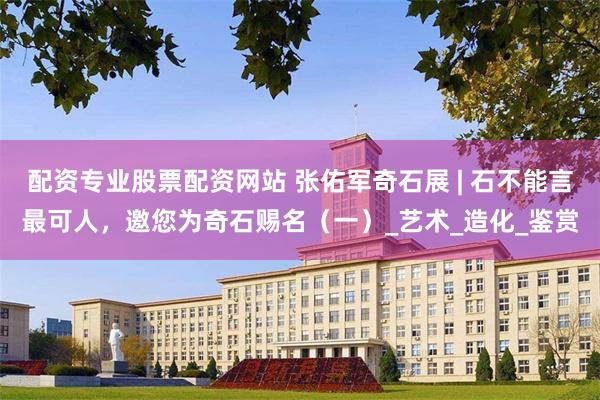 配资专业股票配资网站 张佑军奇石展 | 石不能言最可人，邀您为奇石赐名（一）_艺术_造化_鉴赏