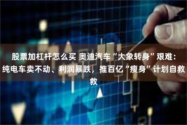 股票加杠杆怎么买 奥迪汽车“大象转身”艰难：纯电车卖不动、利润暴跌，推百亿“瘦身”计划自救