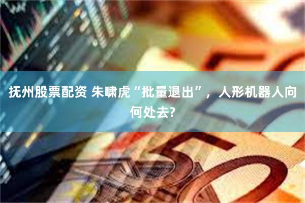 抚州股票配资 朱啸虎“批量退出”，人形机器人向何处去?