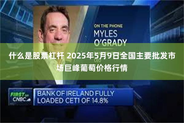 什么是股票杠杆 2025年5月9日全国主要批发市场巨峰葡萄价格行情
