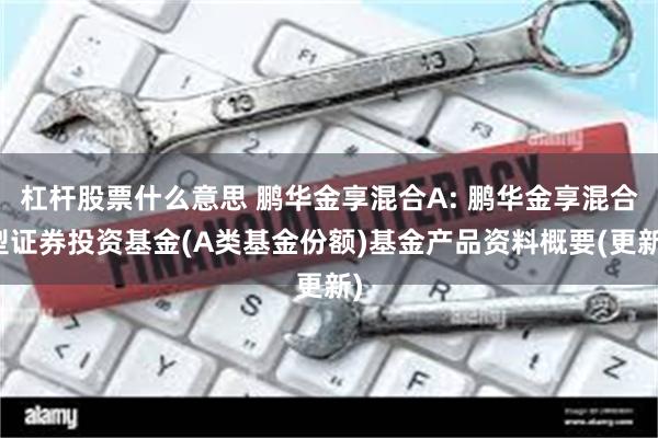 杠杆股票什么意思 鹏华金享混合A: 鹏华金享混合型证券投资基金(A类基金份额)基金产品资料概要(更新)