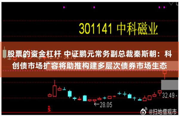 股票的资金杠杆 中证鹏元常务副总裁秦斯朝：科创债市场扩容将助推构建多层次债券市场生态