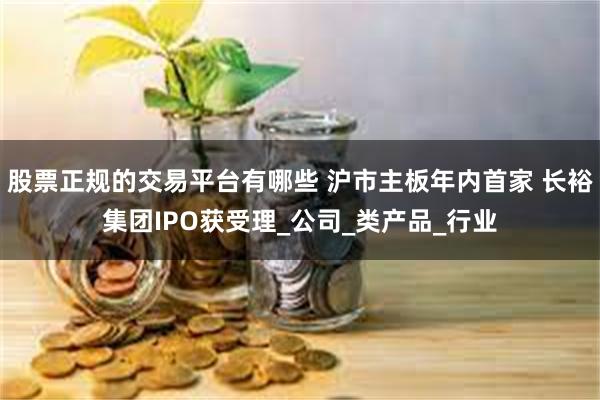 股票正规的交易平台有哪些 沪市主板年内首家 长裕集团IPO获受理_公司_类产品_行业