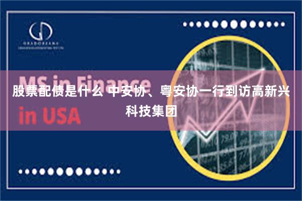 股票配债是什么 中安协、粤安协一行到访高新兴科技集团