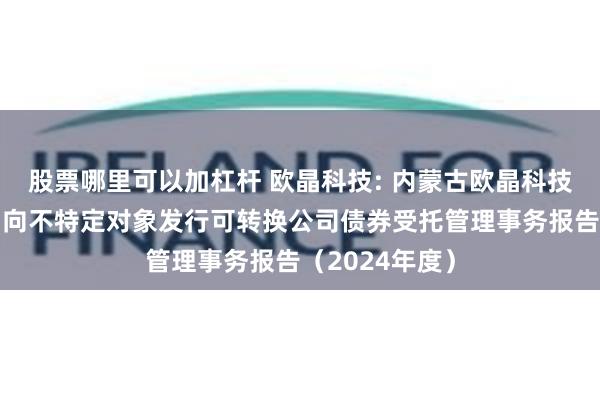 股票哪里可以加杠杆 欧晶科技: 内蒙古欧晶科技股份有限公司向不特定对象发行可转换公司债券受托管理事务报告(2024年度)